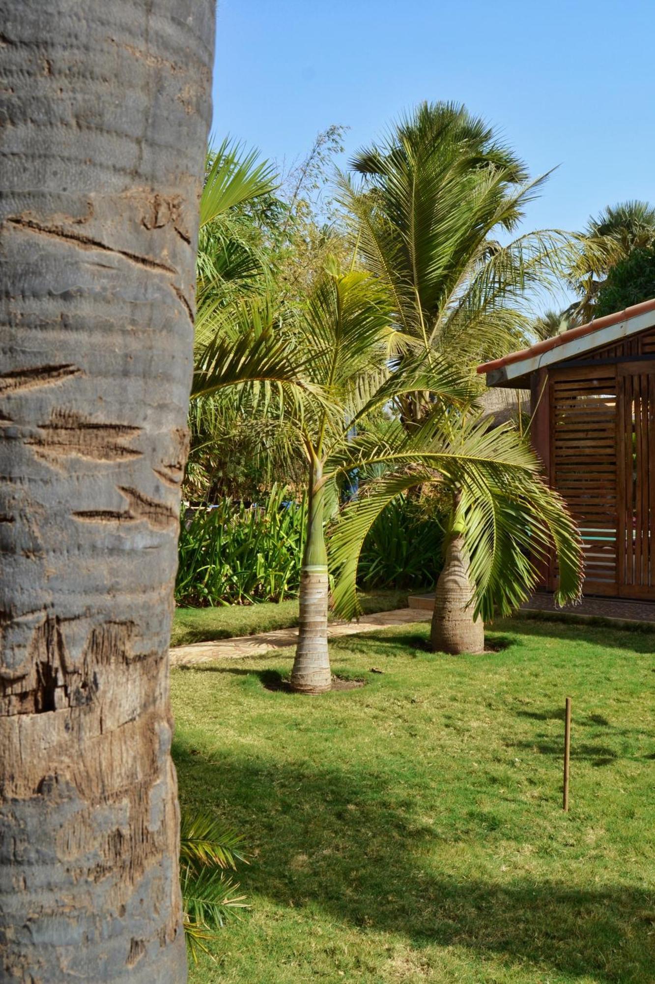 Keur Palmier Saly Hotel Exterior photo